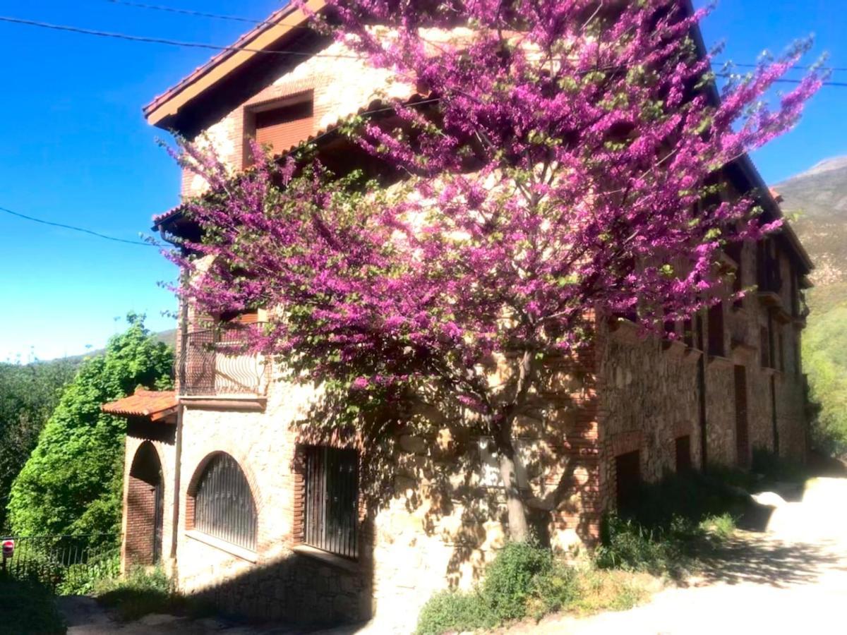 Appartement La Almazara Del Guijo à Guijo de Santa Bárbara Extérieur photo